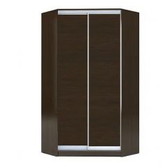 Шкаф-купе ХИТ-У-L-23-64-11 в Талице - talica.mebel24.online | фото 1