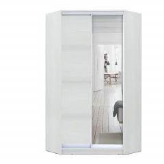 Шкаф-купе ХИТ-У-L-24-64-15 в Талице - talica.mebel24.online | фото