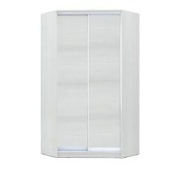 Шкаф-купе ХИТ-У-R-24-64-11 в Талице - talica.mebel24.online | фото