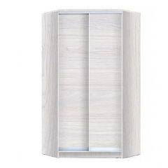Шкаф-купе ХИТ-У-R-24-64-11 в Талице - talica.mebel24.online | фото 5