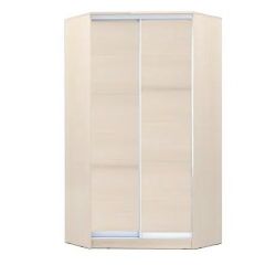 Шкаф-купе ХИТ-У-R-24-64-11 в Талице - talica.mebel24.online | фото 7
