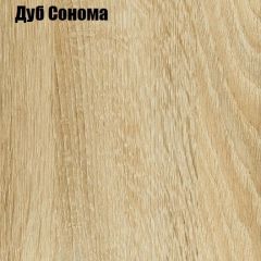 Шкаф-купе Лофт 2000 Шк20-47 (Дуб Сонома) в Талице - talica.mebel24.online | фото 4