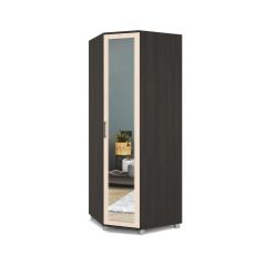 ЕВА Шкаф угловой Е58 в Талице - talica.mebel24.online | фото 3