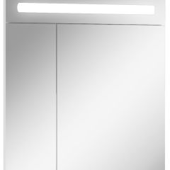 Шкаф-зеркало Аврора 65 с подсветкой LED Домино (DV8006HZ) в Талице - talica.mebel24.online | фото 1