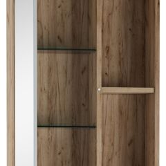 Шкаф-зеркало Craft 50 левый/правый Домино (DCr2212HZ) в Талице - talica.mebel24.online | фото 2