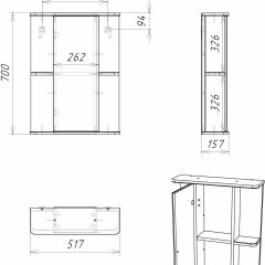 Шкаф-зеркало Норма 2-50 левый АЙСБЕРГ (DA1607HZ) в Талице - talica.mebel24.online | фото 10