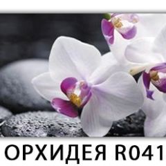 Стол раздвижной Бриз лайм R156 Орхидея R041 в Талице - talica.mebel24.online | фото 33