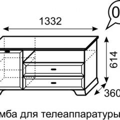 Тумба для телеаппаратуры Венеция 6 бодега в Талице - talica.mebel24.online | фото 2