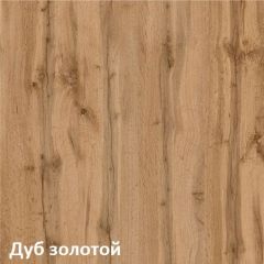 Вуди Шкаф для одежды 13.138 в Талице - talica.mebel24.online | фото 4