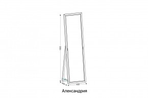 АЛЕКСАНДРИЯ-9.1 Зеркало напольное в Талице - talica.mebel24.online | фото 2