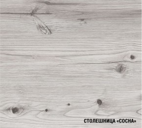 АСАЯ Кухонный гарнитур Экстра 2 (3000 мм) ПМ в Талице - talica.mebel24.online | фото 8