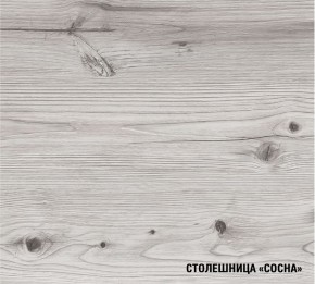 АСАЯ Кухонный гарнитур Макси 2 (1800 мм) ПМ в Талице - talica.mebel24.online | фото 8