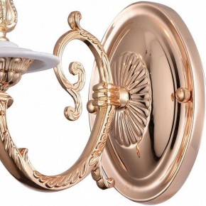 Бра Arte Lamp 8020 A8020AP-1WG в Талице - talica.mebel24.online | фото 4