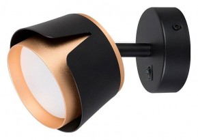 Бра Arte Lamp Amaks A8028AP-1BK в Талице - talica.mebel24.online | фото