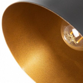 Бра Arte Lamp Thomas A7032AP-1BK в Талице - talica.mebel24.online | фото 10