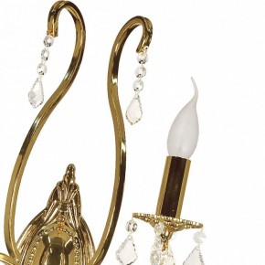 Бра Arti Lampadari Ercolano Ercolano E 2.1.2.602 G в Талице - talica.mebel24.online | фото 8