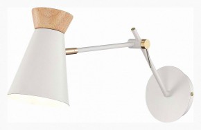 Бра EVOLUCE Alfeo SLE1252-501-01 в Талице - talica.mebel24.online | фото