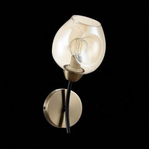Бра EVOLUCE Besano SLE205301-01 в Талице - talica.mebel24.online | фото 5