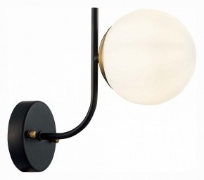 Бра EVOLUCE Ciane SLE1098-401-01 в Талице - talica.mebel24.online | фото 3