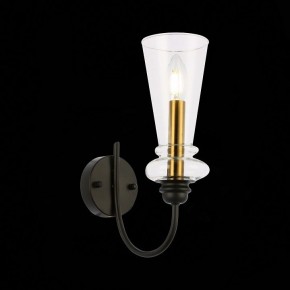 Бра EVOLUCE Rammo SLE112401-01 в Талице - talica.mebel24.online | фото 8