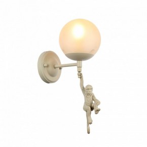 Бра EVOLUCE Tenato SLE115101-01 в Талице - talica.mebel24.online | фото 2