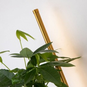 Бра Favourite Greenery 4050-1W в Талице - talica.mebel24.online | фото 10