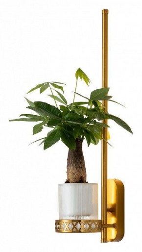 Бра Favourite Greenery 4050-1W в Талице - talica.mebel24.online | фото 3