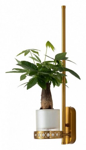 Бра Favourite Greenery 4050-1W в Талице - talica.mebel24.online | фото 4