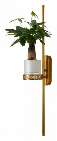 Бра Favourite Greenery 4050-2W в Талице - talica.mebel24.online | фото 11