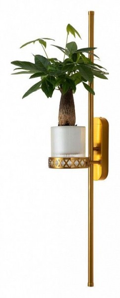 Бра Favourite Greenery 4050-2W в Талице - talica.mebel24.online | фото 3