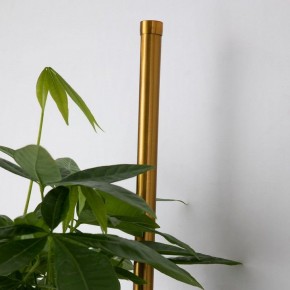 Бра Favourite Greenery 4050-2W в Талице - talica.mebel24.online | фото 8