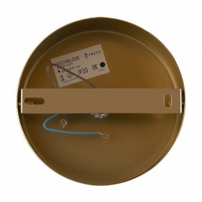 Бра Freya Zelda FR5124WL-01BS в Талице - talica.mebel24.online | фото 6