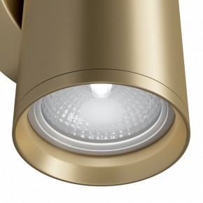 Бра Maytoni Focus S C068WL-02MG в Талице - talica.mebel24.online | фото 4
