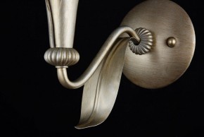 Бра Maytoni Lillian H311-01-G в Талице - talica.mebel24.online | фото 7