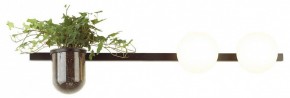 Бра Odeon Light Flower 4681/2W в Талице - talica.mebel24.online | фото 3