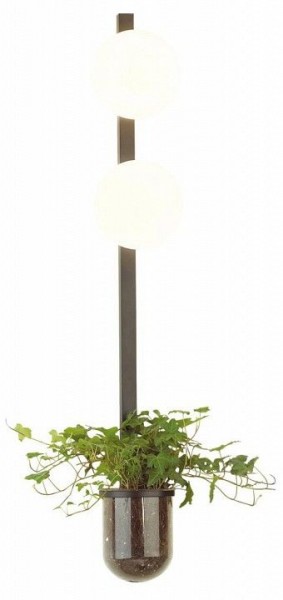 Бра Odeon Light Flower 4681/2WA в Талице - talica.mebel24.online | фото 3