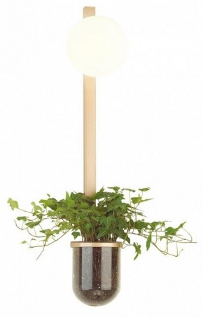 Бра Odeon Light Flower 4682/1WB в Талице - talica.mebel24.online | фото 3