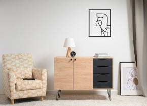 БРЮС Комод 16.233 в Талице - talica.mebel24.online | фото 2