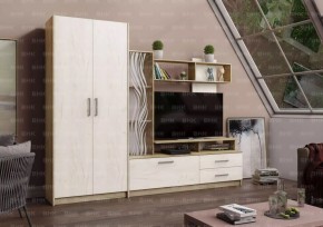 ДАРЬЯ Гостиная (Крафт серый/Крафт белый) в Талице - talica.mebel24.online | фото