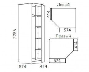 Детская Фанк Шкаф угловой Левый/Правый НМ 013.04-02 М в Талице - talica.mebel24.online | фото 3