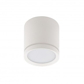 DK4013-WH Светильник накладной IP 20, 5 Вт, LED 4000, белый, алюминий/акрил в Талице - talica.mebel24.online | фото 2