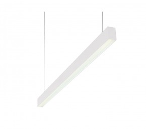 DK9124-WH Линейный светильник 30W 1250mm 4000K, белый в Талице - talica.mebel24.online | фото 1