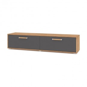 ФЛОРИДА Ф31 Тумба ТВ (дуб золотой/графит) в Талице - talica.mebel24.online | фото