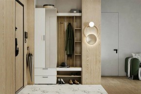 Гарнитур для прихожей Торонто в Талице - talica.mebel24.online | фото 5