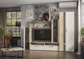 Гостиная Эмма (Дуб Крафт серый/белый) в Талице - talica.mebel24.online | фото