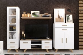 Гостиная Вега Скандинавия (комплект 2) в Талице - talica.mebel24.online | фото