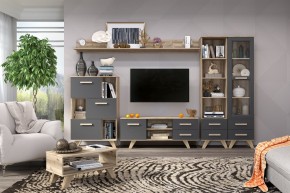Гостиная Вега Скандинавия (комплект 6) в Талице - talica.mebel24.online | фото