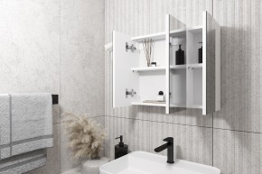 Кларити Шкаф зеркальный 16.312.08 в Талице - talica.mebel24.online | фото 2