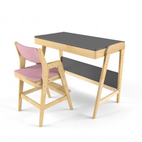 Комплект растущий стол и стул с чехлом 38 попугаев «Вуди» (Серый, Береза, Розовый) в Талице - talica.mebel24.online | фото