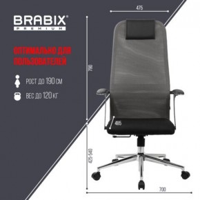 Кресло офисное BRABIX PREMIUM "Ultimate EX-801" хром, плотная двойная сетка Х2, черное/серое, 532918 в Талице - talica.mebel24.online | фото 5